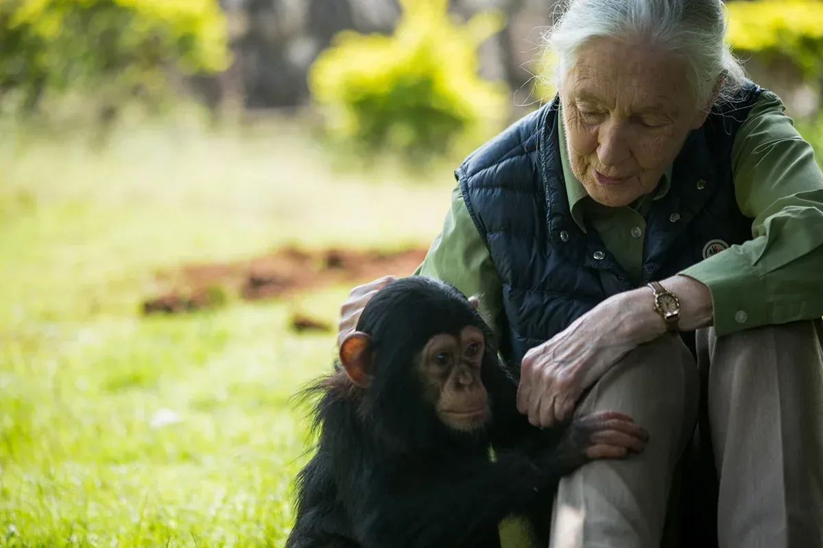 Ep 1671 Jane Goodall | Fresh Air